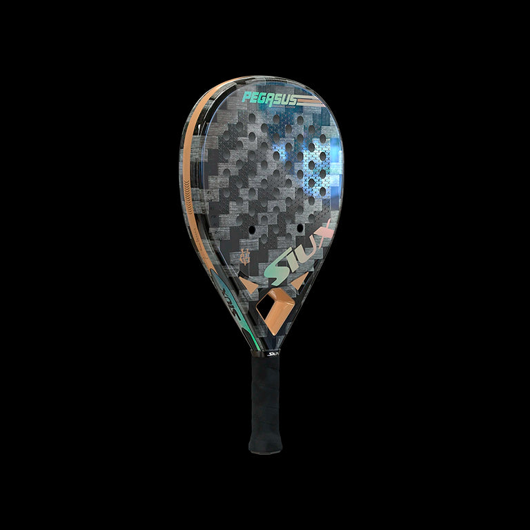 Siux Pegasus GV Edition