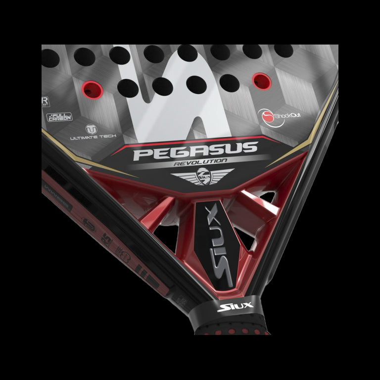 Siux Pegasus Revolution Cube